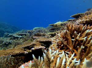 IMG_1963