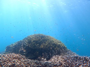 IMG_1965