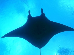 IMG_1975
