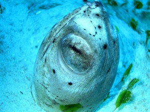 IMG_2004