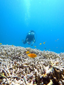 IMG_2012