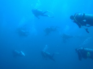 IMG_2057