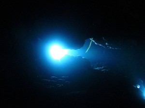 IMG_2079