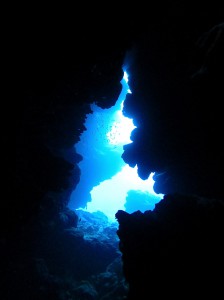IMG_2080