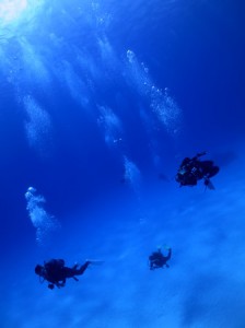 IMG_2083
