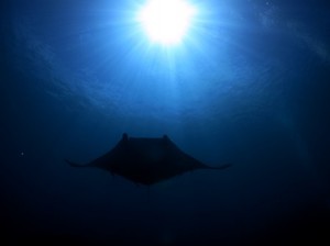IMG_2310