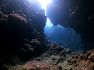 IMG_2344