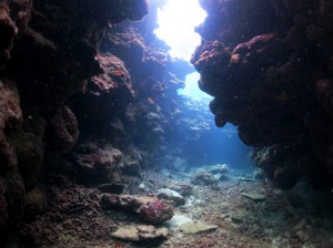 IMG_2347