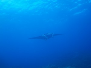 IMG_6063