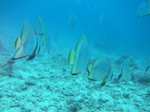 IMG_6122