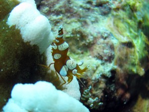 IMG_6133