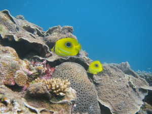 IMG_6674