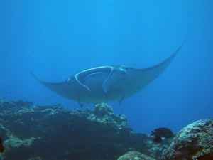 IMG_6695