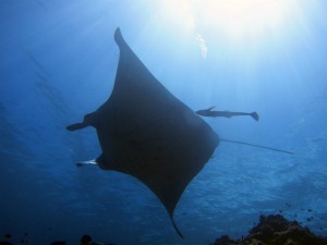 IMG_6700