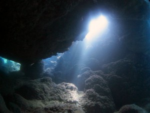 IMG_6729