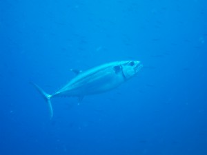 IMG_6769