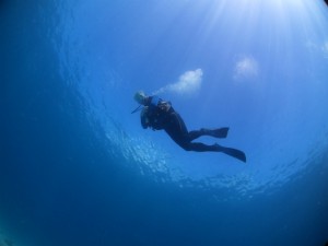 IMG_6785