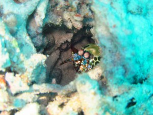 IMG_6795