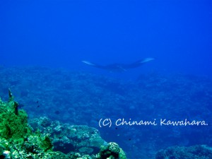IMG_7960