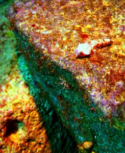 P1120368