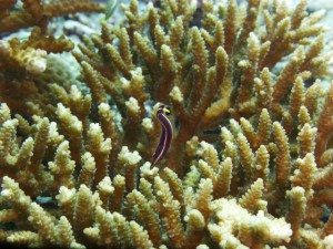 P1120462