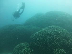 P1120468
