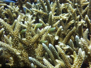 P1120524
