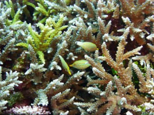 P1120757