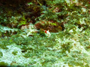 P1120802