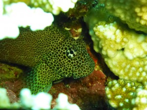 P1120816
