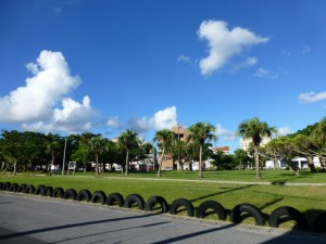 P1130109