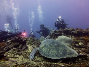 P1130116