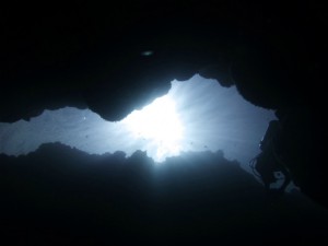 P1130152