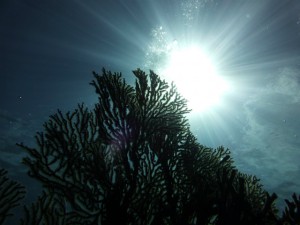 P1130250