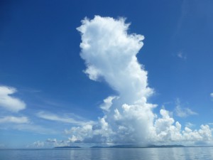 P1130266