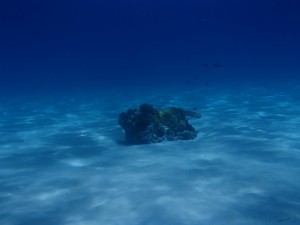 P8240024