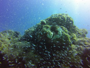 GOPR0839