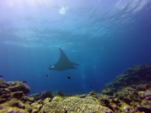 GOPR0913