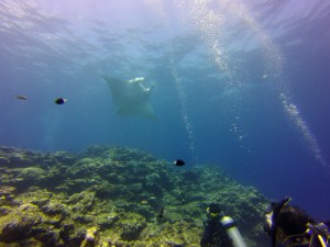 GOPR0917