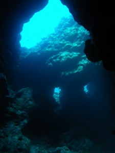 IMGP0100