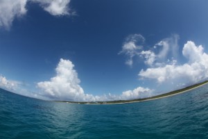 IMG_1093