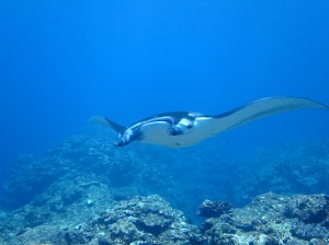 IMG_2114