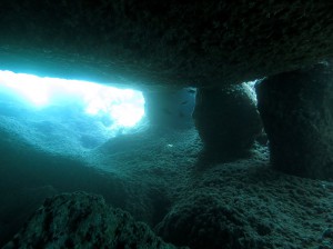 IMG_2149