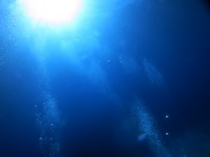 IMG_2362