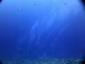 IMG_2393