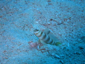 IMG_2405