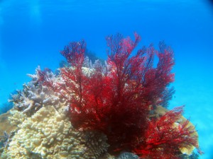 IMG_2437