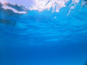 IMG_2438