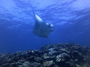 IMG_2472