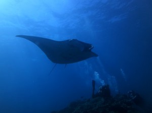 IMG_2483